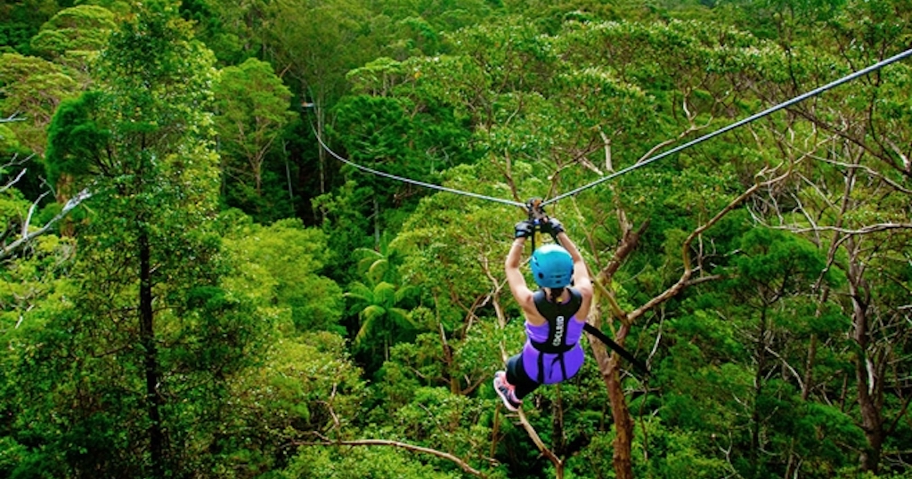 Canyon Flyer Zipline Gold Coast