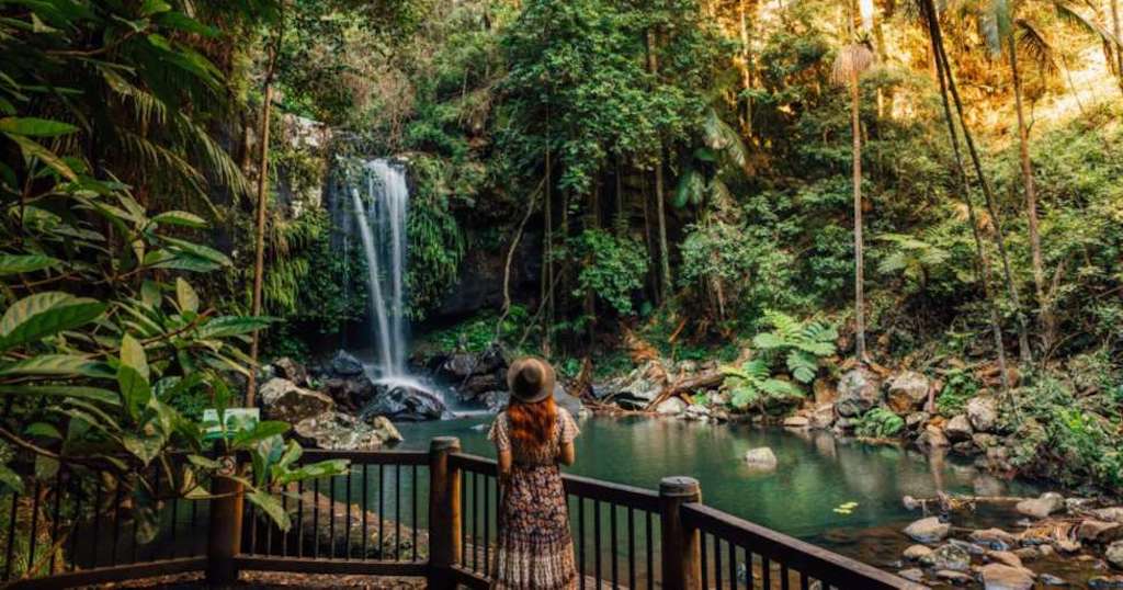 Tamborine Mountain, Brisbane car hire