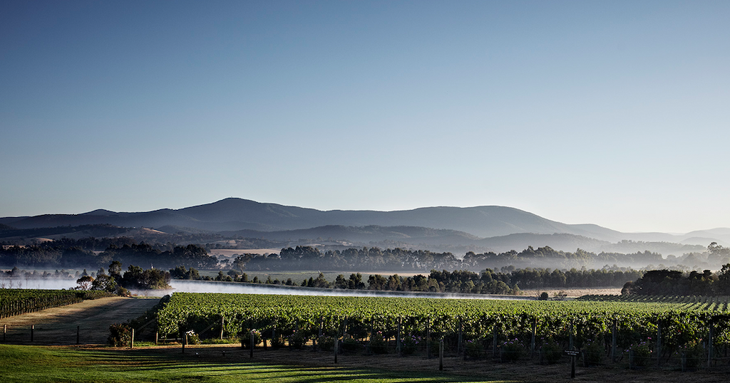 Chandon Yarra Valley near Melbourne