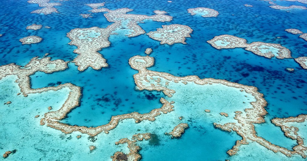 Great Barrier Reef off Cairns