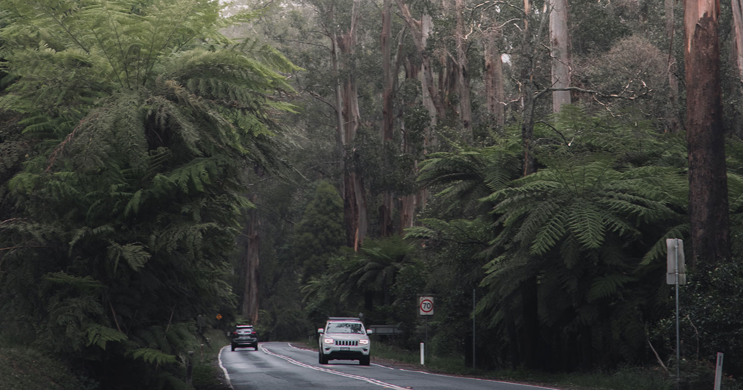 Explore The Dandenong Ranges SIXT Car Rental Melbourne   Dandenong Ranges Victoria 